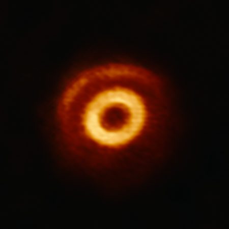 V1247 Orionis